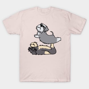 Acroyoga Schnauzer T-Shirt